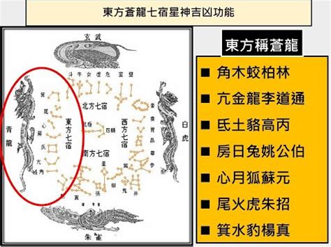 星宿查询|二十八星宿算命，二十八星宿查詢，在線算命最準的網站